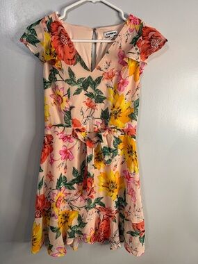 Express Peach Floral V-Neck Mini Dress Size XS